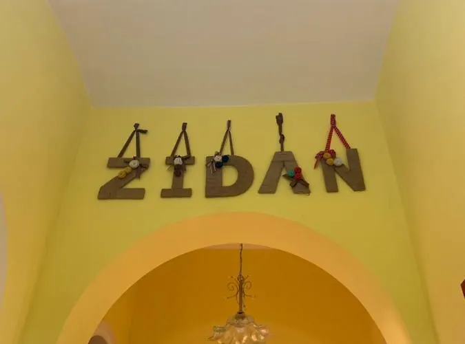Zidan 3*